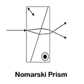 Nomarski Prism